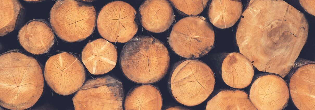 Baumstämme für den Holzhandel