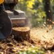 Stubbenfräse im Einsatz auf Baumstumpf im Wald