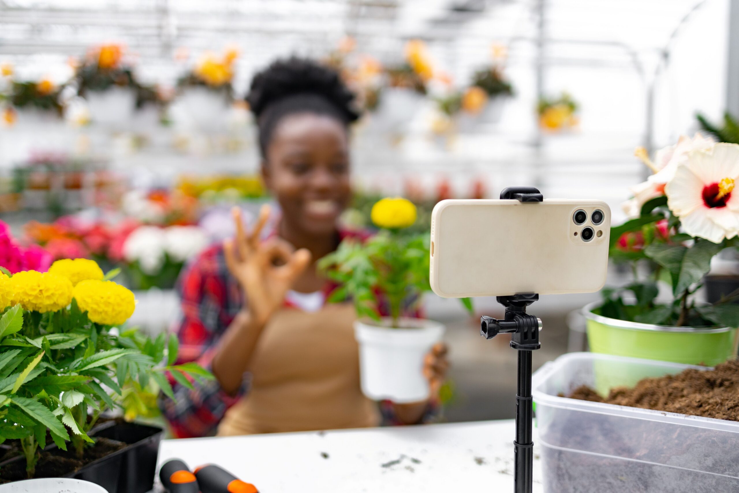 Blumentopf im Social-Media-Fokus: Content Kreatorin zeigt Pflanze und interagiert mit Community im Gartencenter